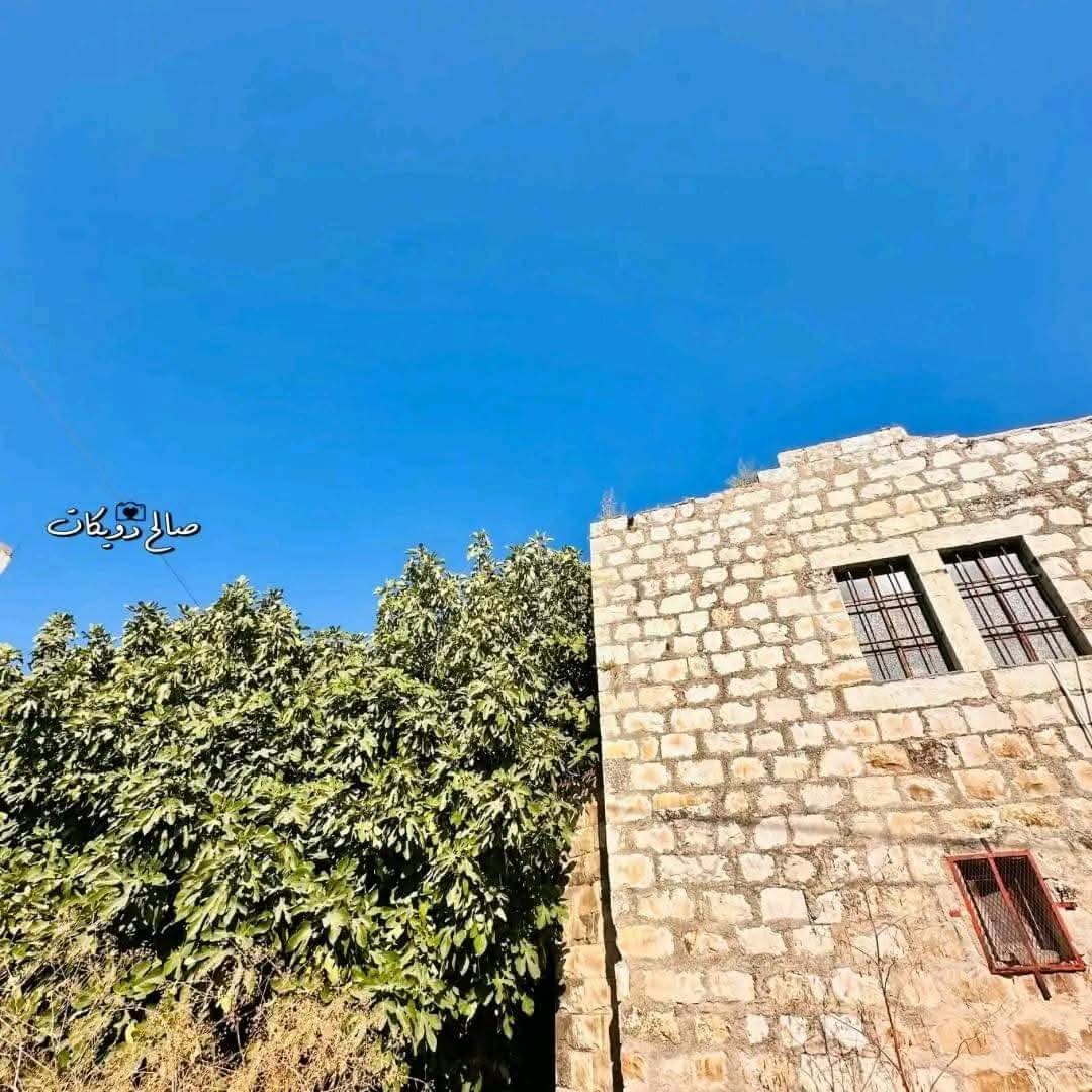 | موسوعة القرى الفلسطينية  | موسوعة القرى الفلسطينية